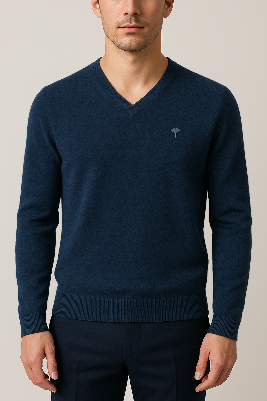 Pull Col V Homme – BILOBA OFFICIEL